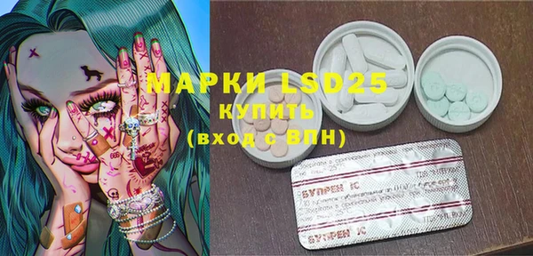 ECSTASY Богородицк