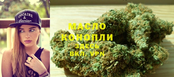 стаф Богородск