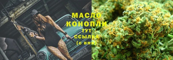 стаф Богородск