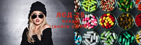 ECSTASY Богородицк