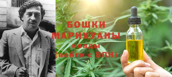 ECSTASY Богородицк