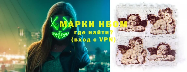 стаф Богородск