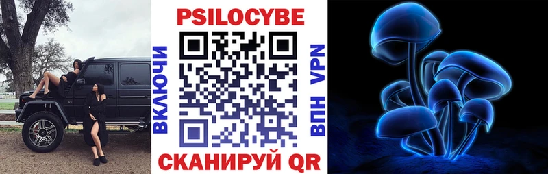 Галлюциногенные грибы Cubensis Верхотурье